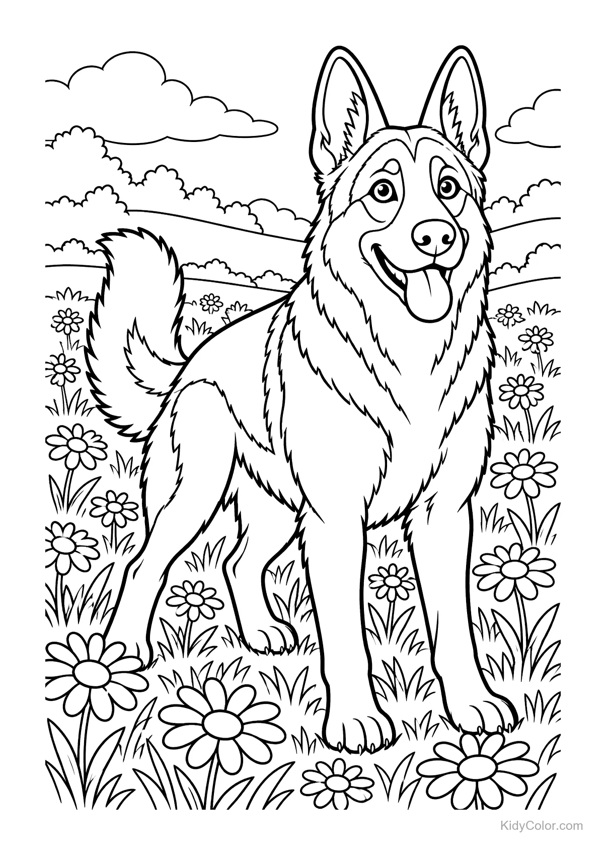 Deutscher Schäferhund steht in einem Feld voller Gänseblümchen.