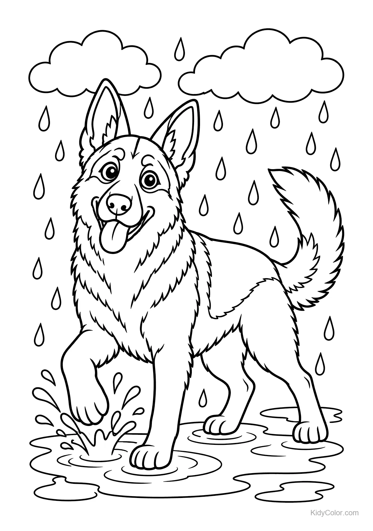 German Shepherd splashing in a rainy puddle with raindrops and clouds.