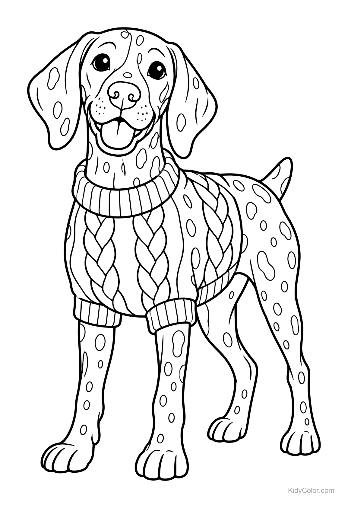 German Shorthaired Pointer wearing a cozy sweater, standing.