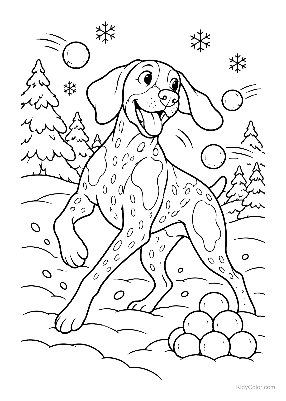 A German Shorthaired Pointer playing with snowballs in a snowy setting.