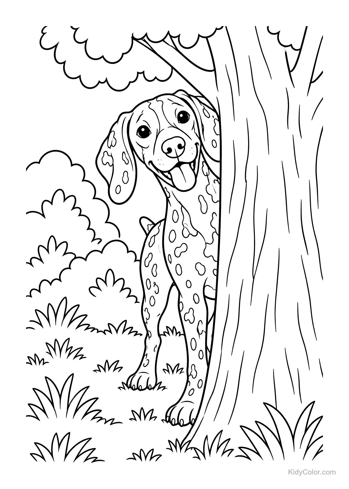 Ein Deutsch Kurzhaar Hund versteckt sich hinter einem Baum.