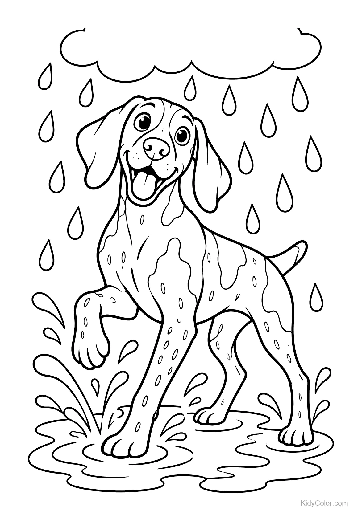 A German Shorthaired Pointer splashing in puddles with raindrops above.