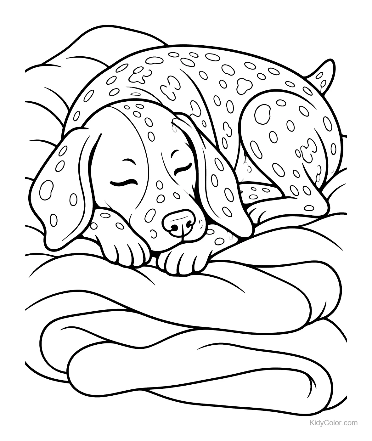 German Shorthaired Pointer sleeping on a cozy blanket.