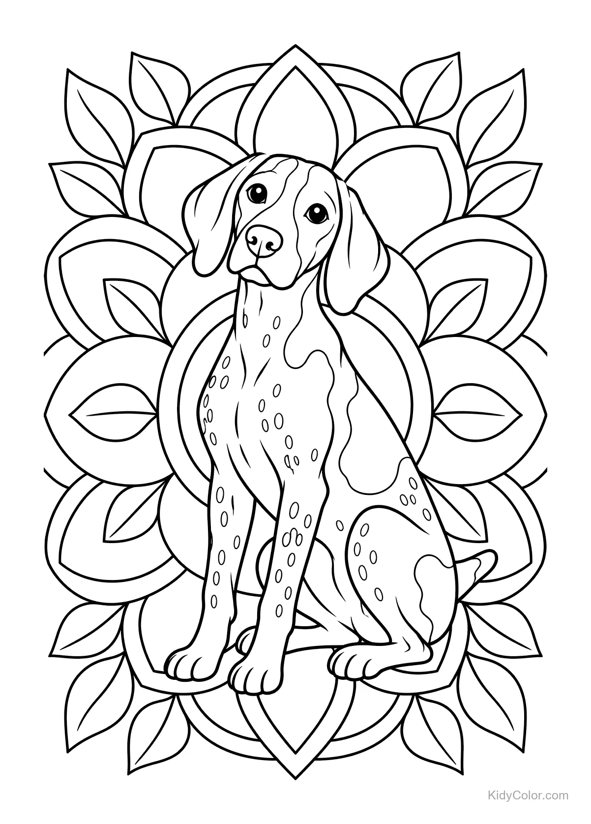 German Shorthaired Pointer sitting in front of a mandala design.