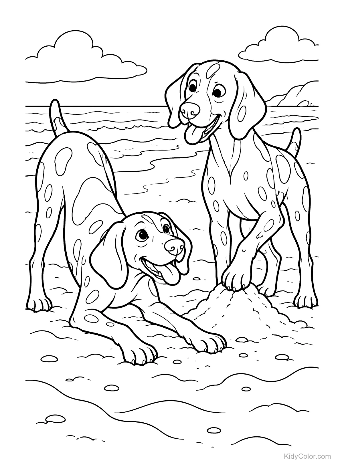 Zwei Deutsch Kurzhaar spielen im Sand am Strand.