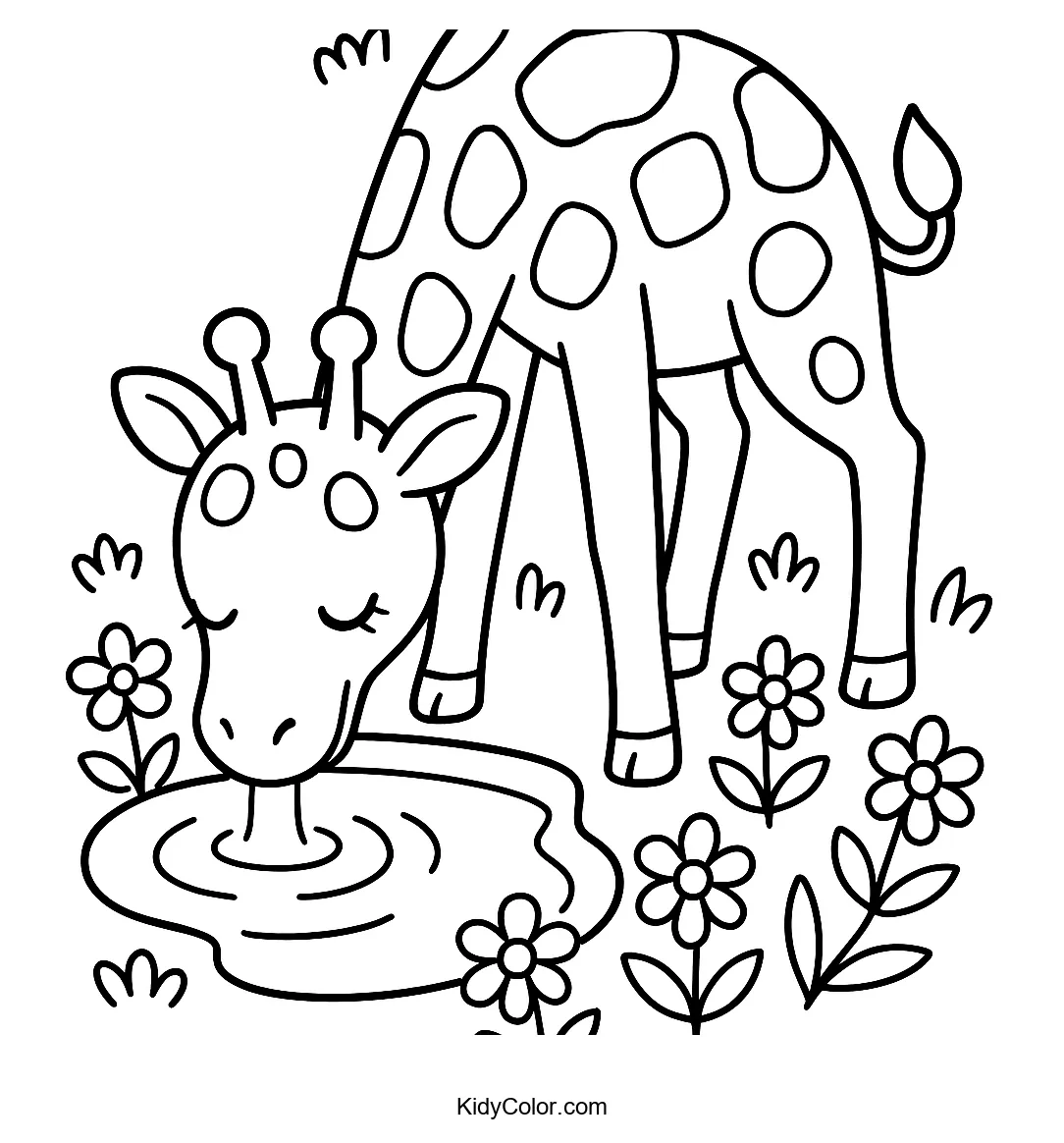 Giraffe drinking from pond with flowers