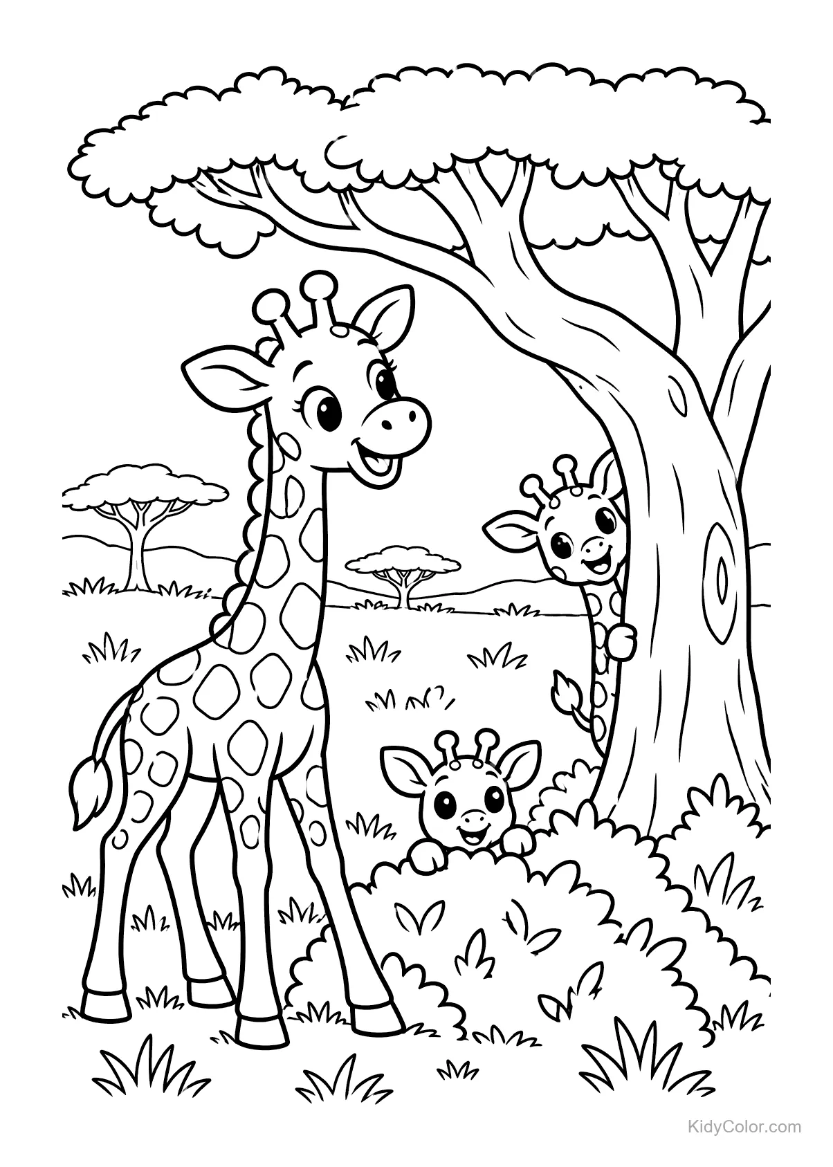 Girafes jouant à cache-cache parmi les arbres de la savane.