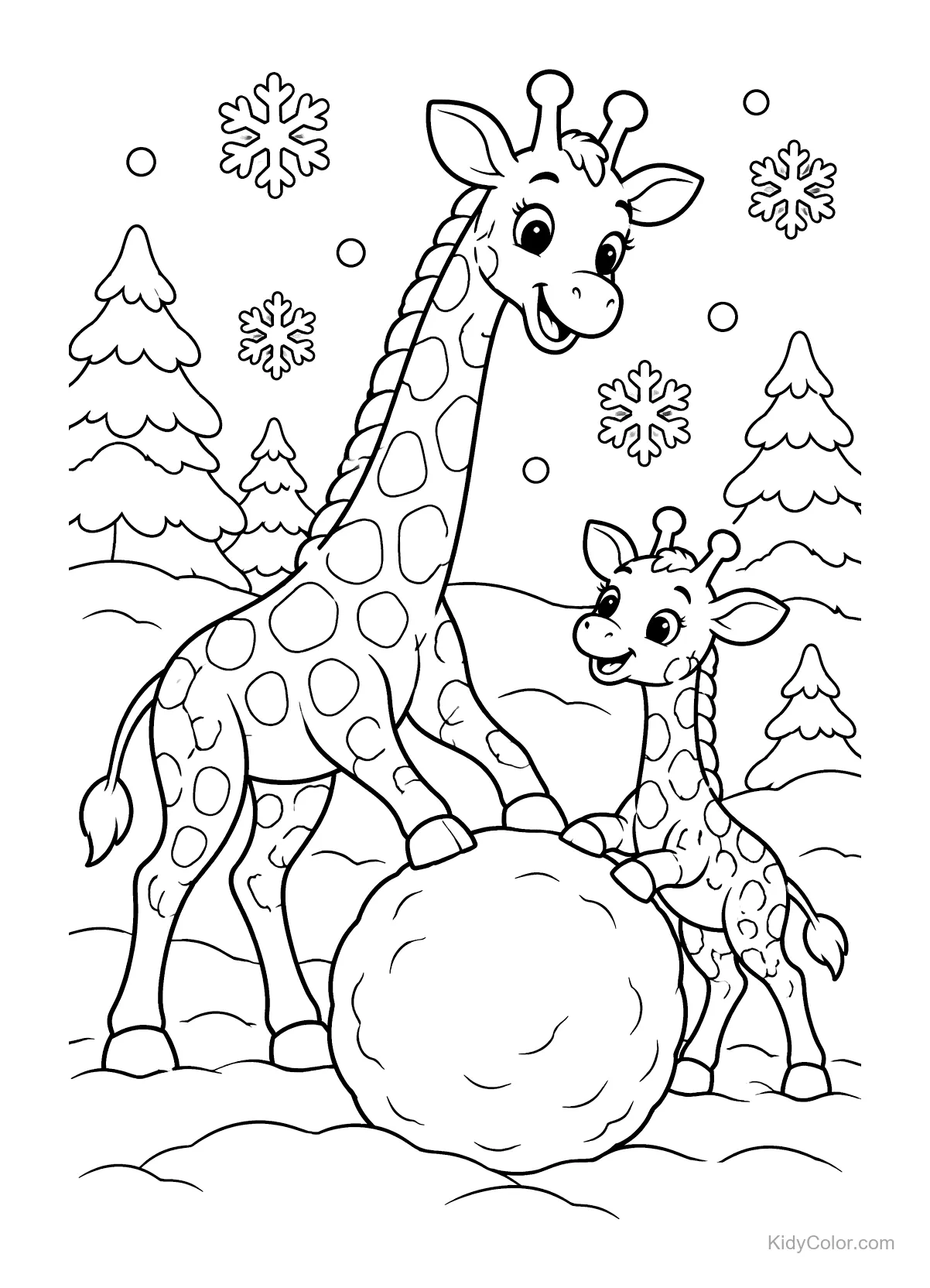 Zwei Giraffen rollen einen großen Schneeball in einer Schneelandschaft.