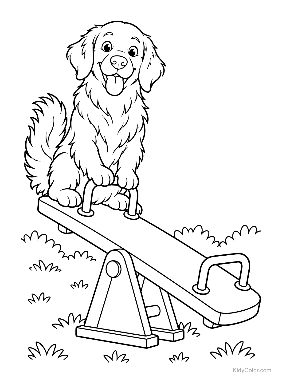 Golden Retriever sitzt auf einer Wippe im Gras.
