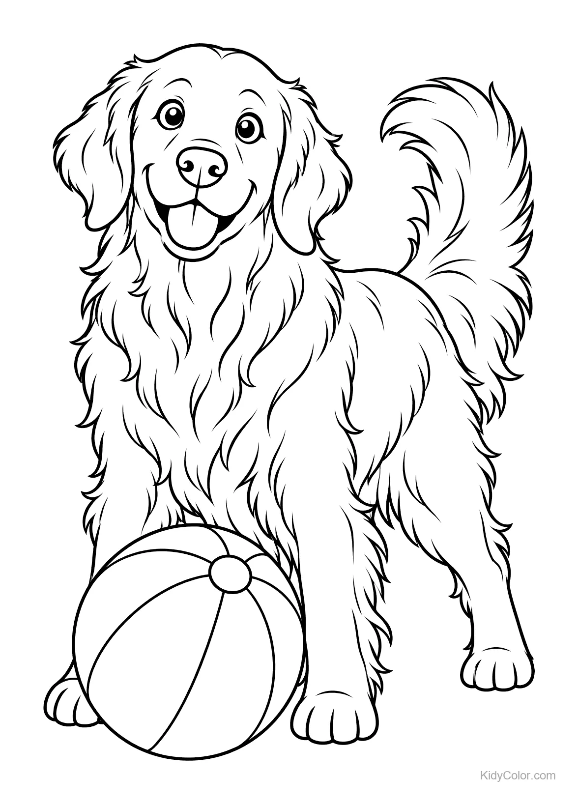 Golden Retriever steht mit einem Strandball.