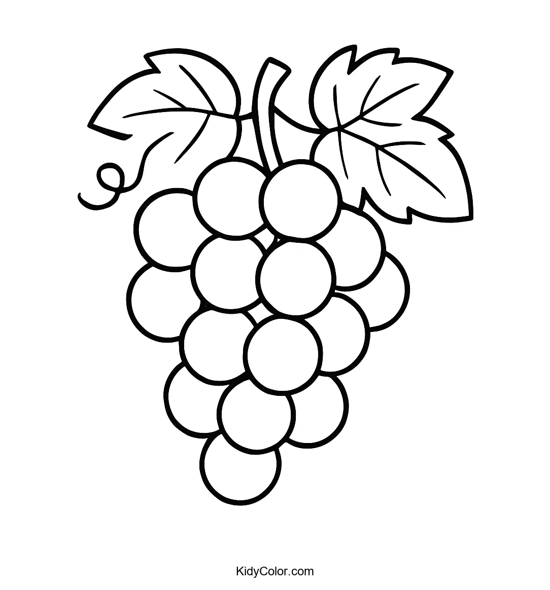 A line drawing of a grapevine with leaves