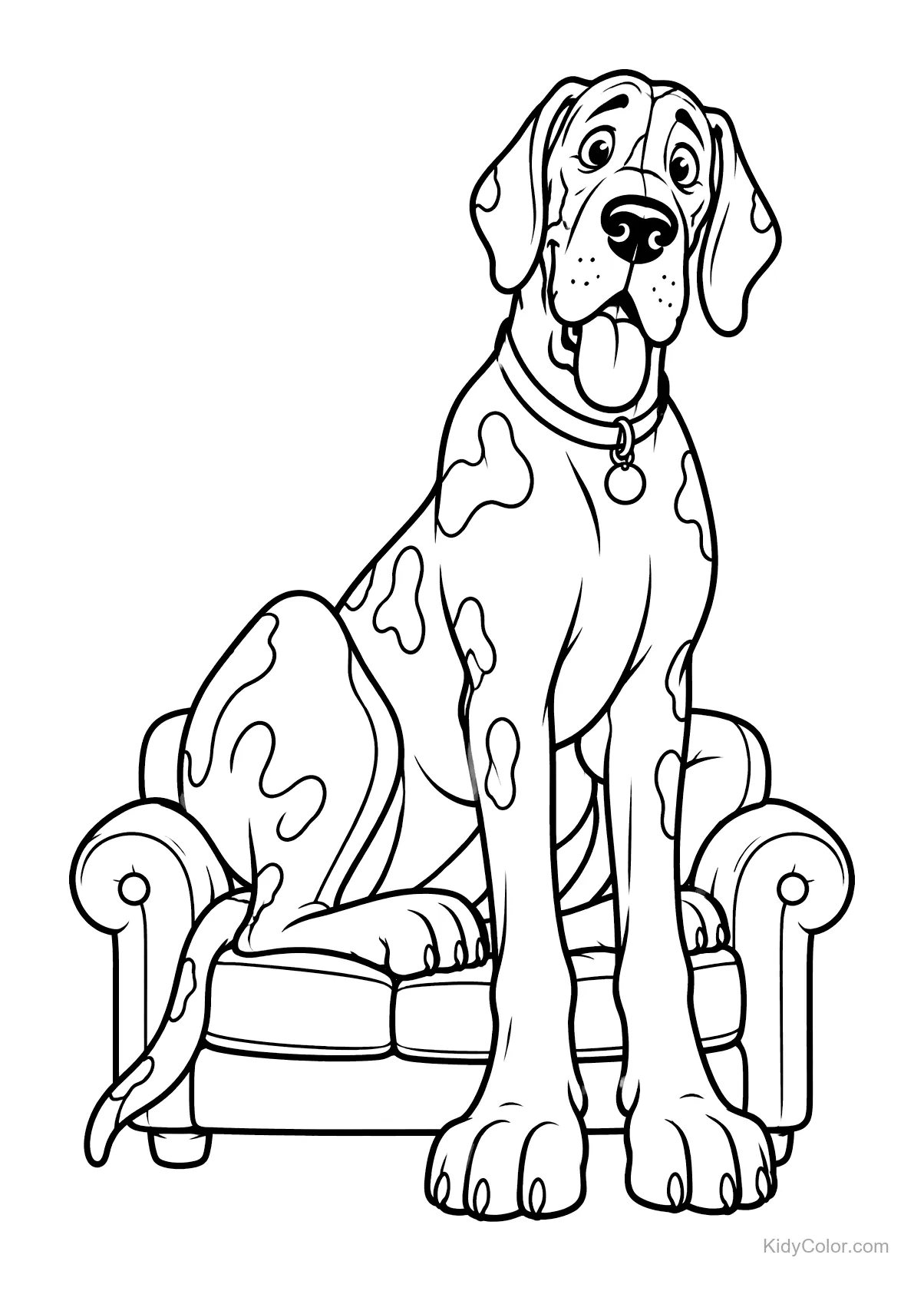 Great Dane sitting on a small sofa, looking amused.