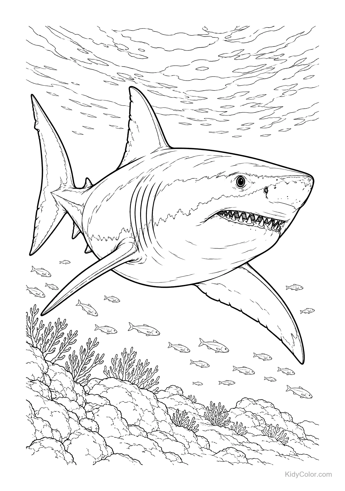 Great white shark swimming over a reef with coral and fish.