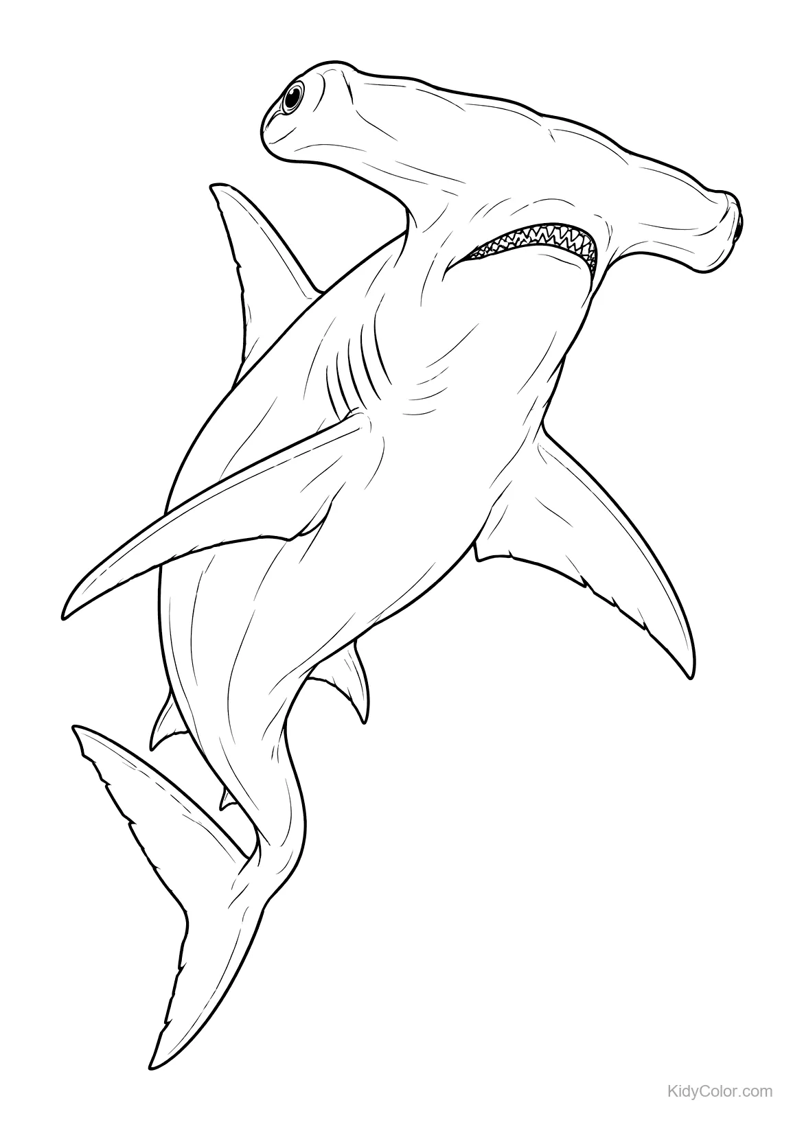 A hammerhead shark swimming in the ocean with its distinctive head.