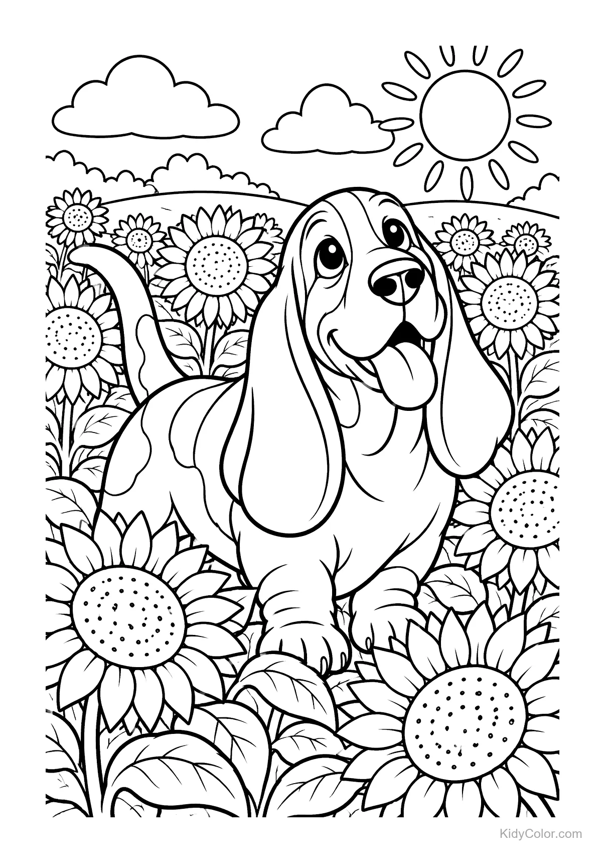 Basset Hound na polu słoneczników pod słonecznym niebem.