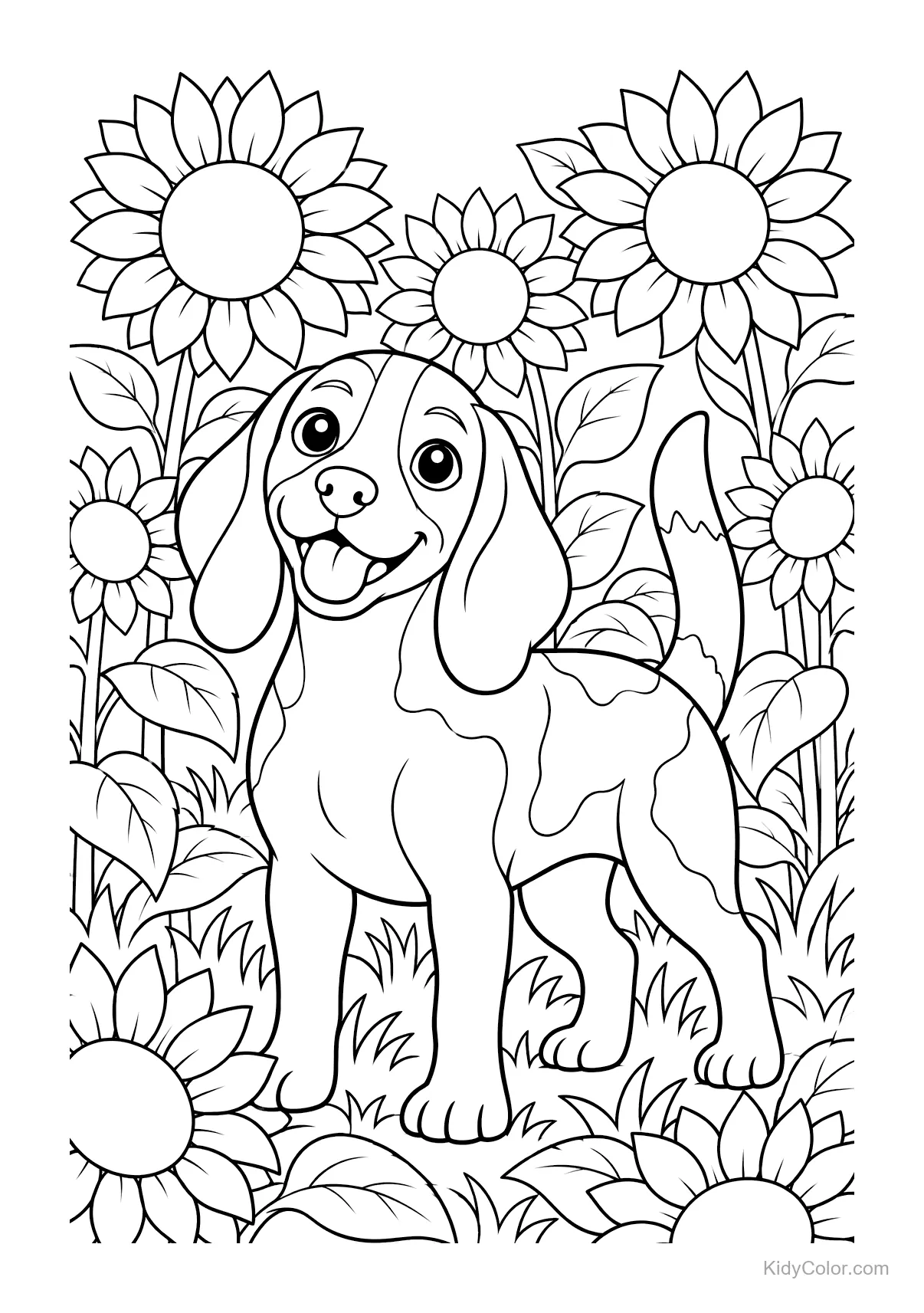 Vrolijke beagle in een veld met zonnebloemen.