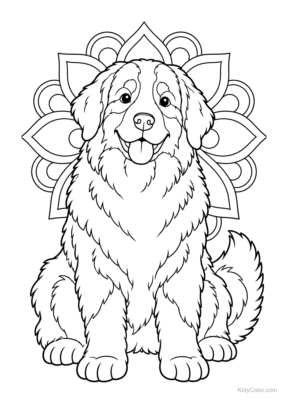 Berner sennenhond zit blij voor een mandala patroon.