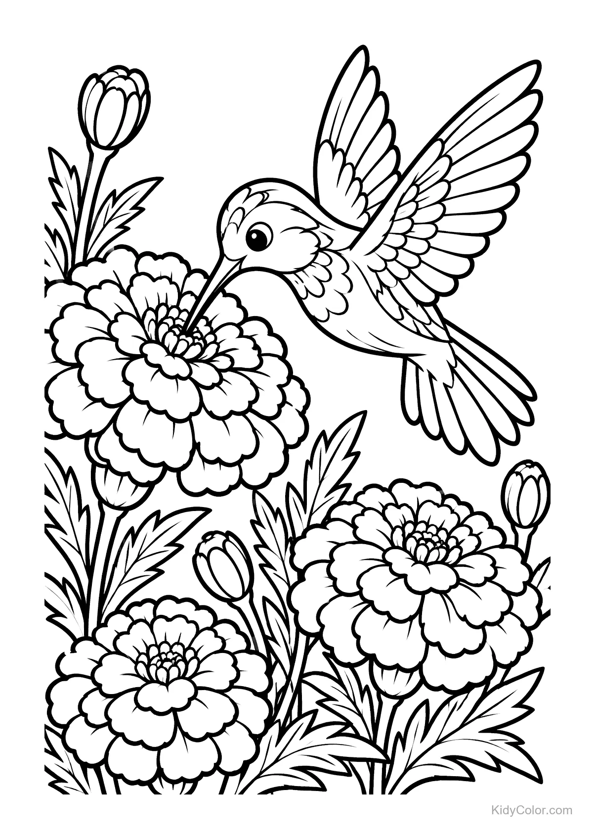 A hummingbird hovers near marigold flowers.
