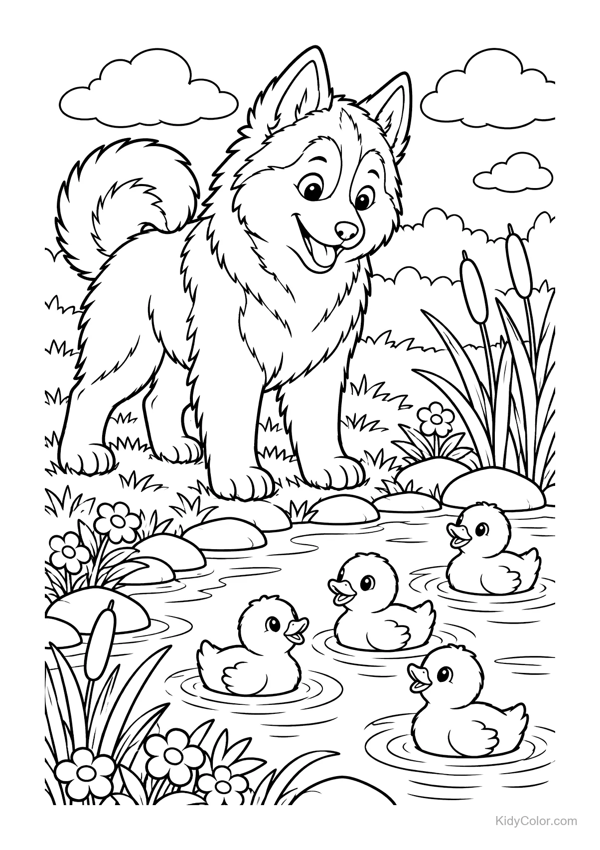 Een husky kijkt naar vier eendjes die in een vijver zwemmen.
