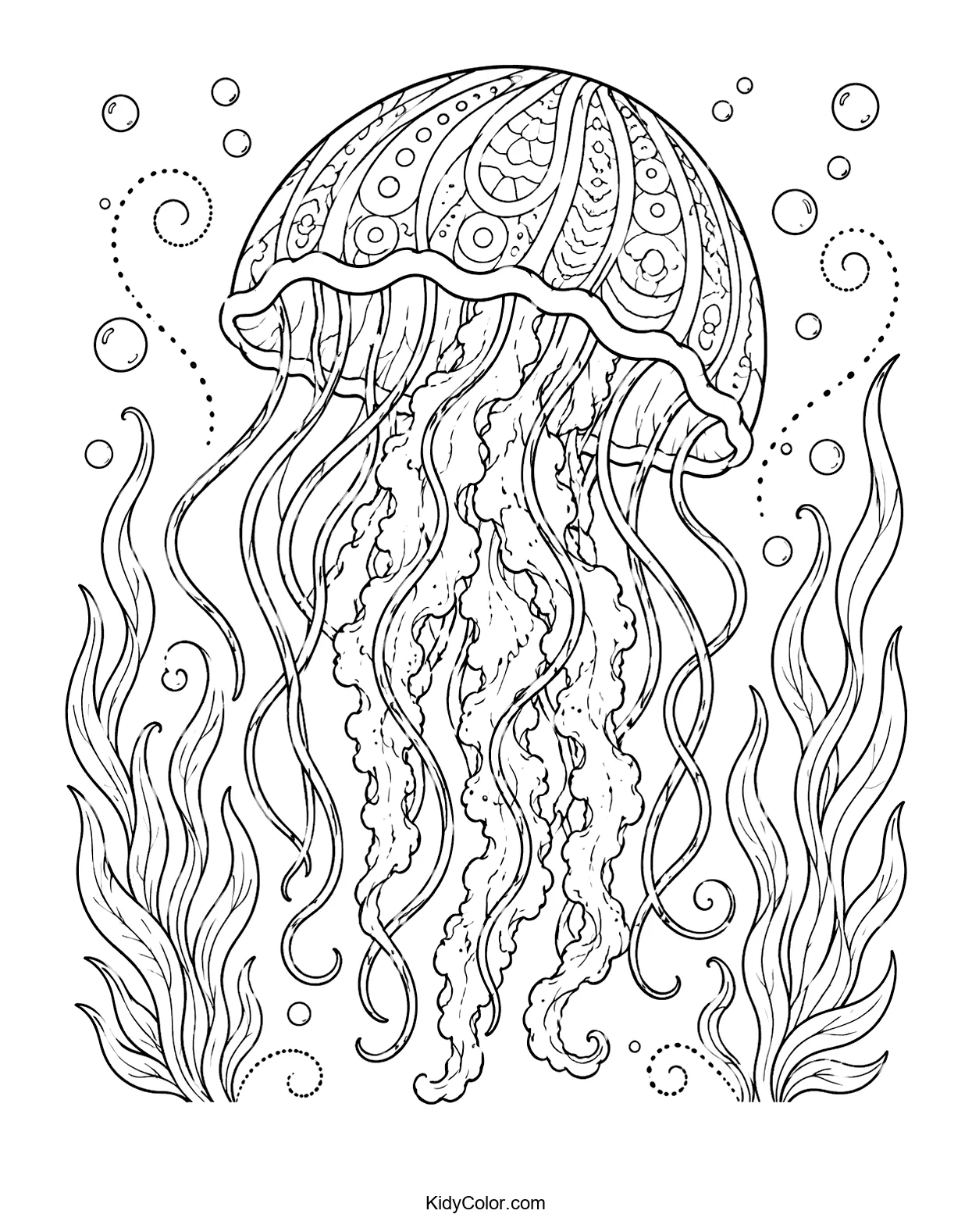 Intricate jellyfish with swirling tentacles and ocean plants.
