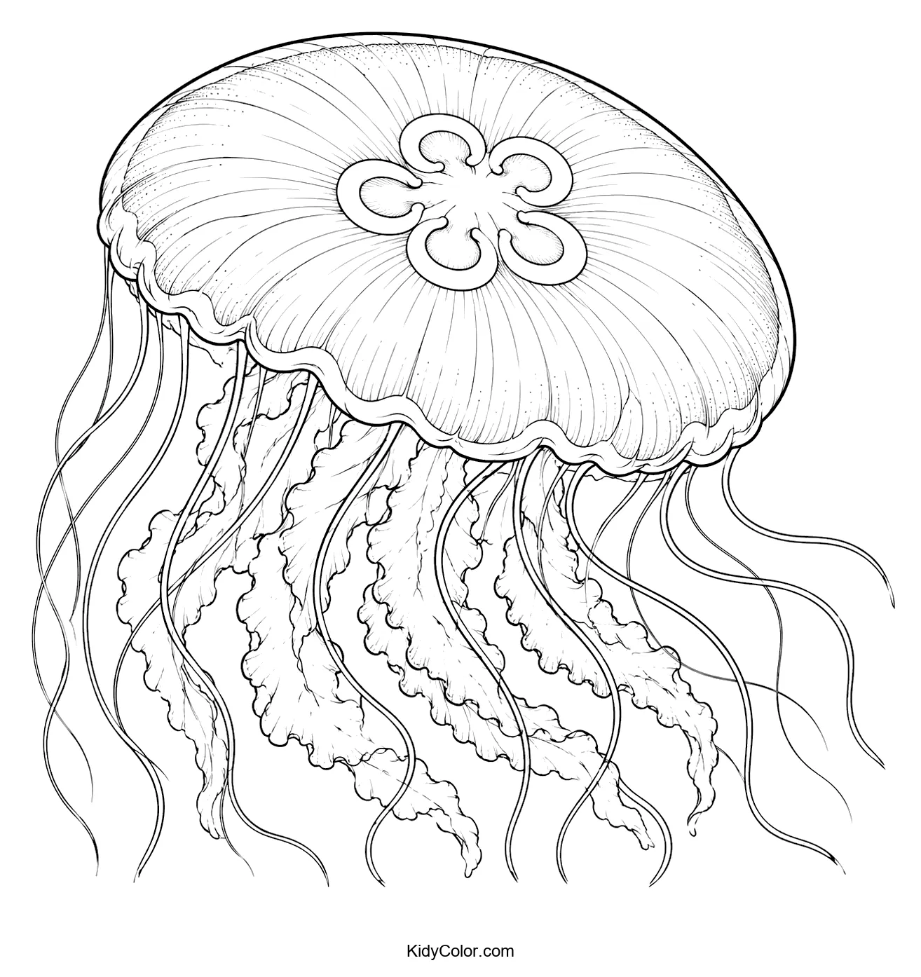 Intricate line art of a jellyfish with detailed tentacles.
