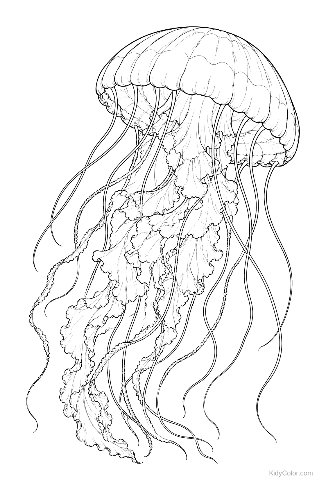 Intricate line art of a jellyfish with flowing tentacles.