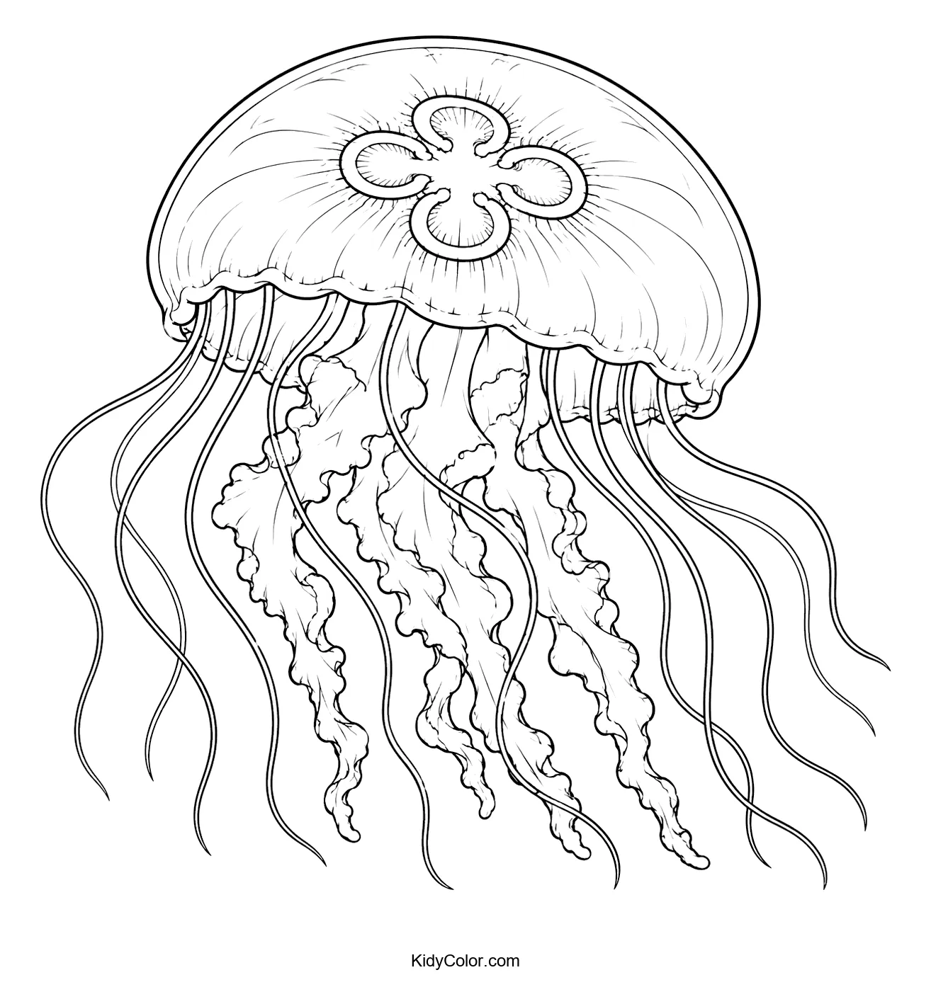 Intricate jellyfish with flowing tentacles in black and white.