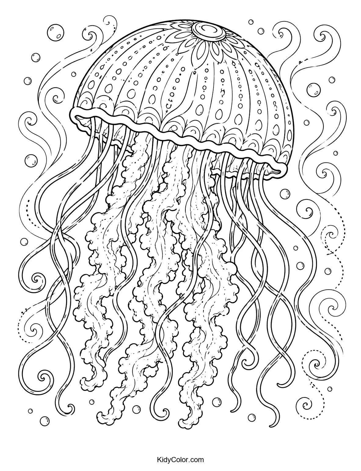 Intricate jellyfish with swirling tentacles and decorative patterns.