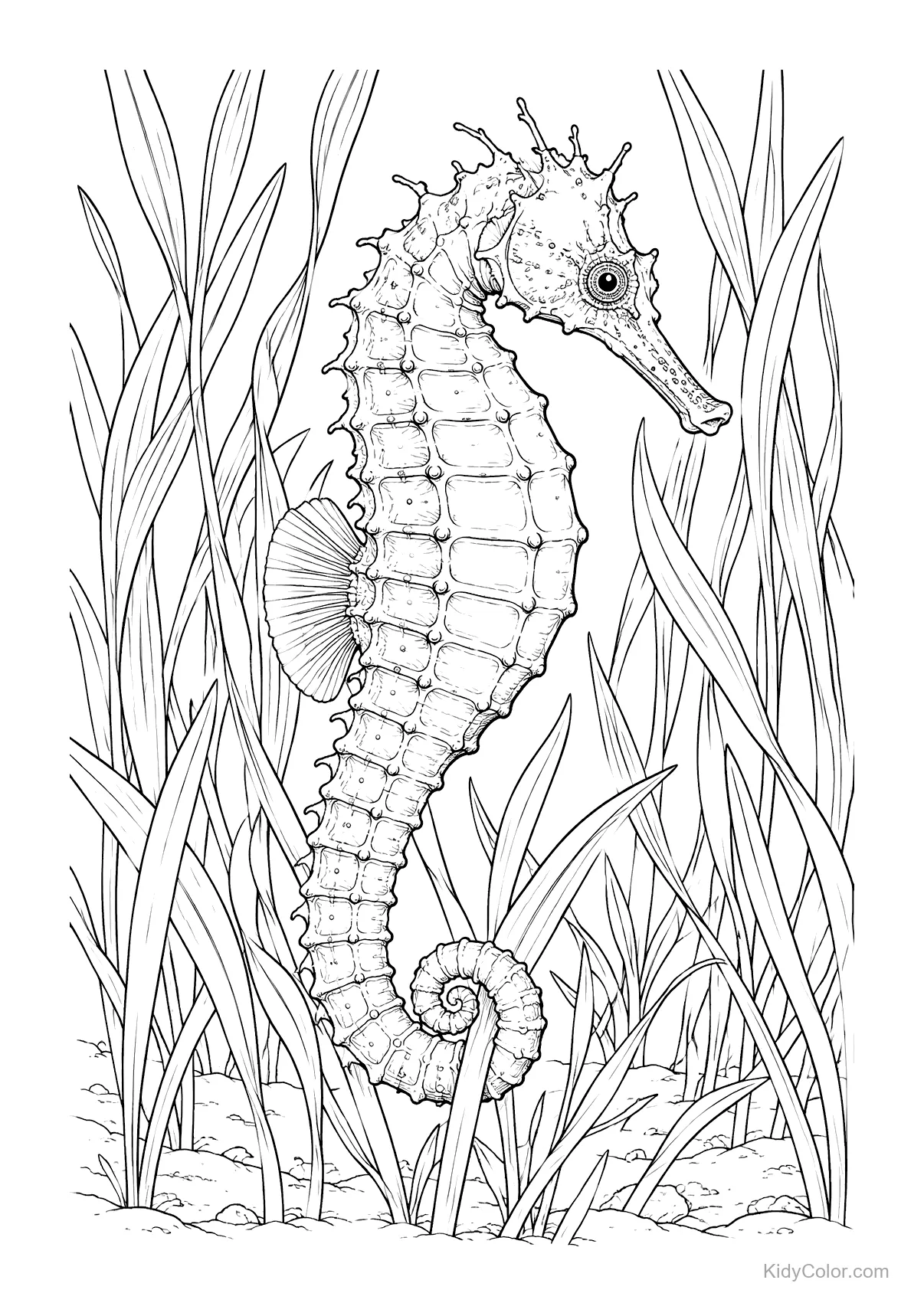 An intricate seahorse floats among tall seagrass.