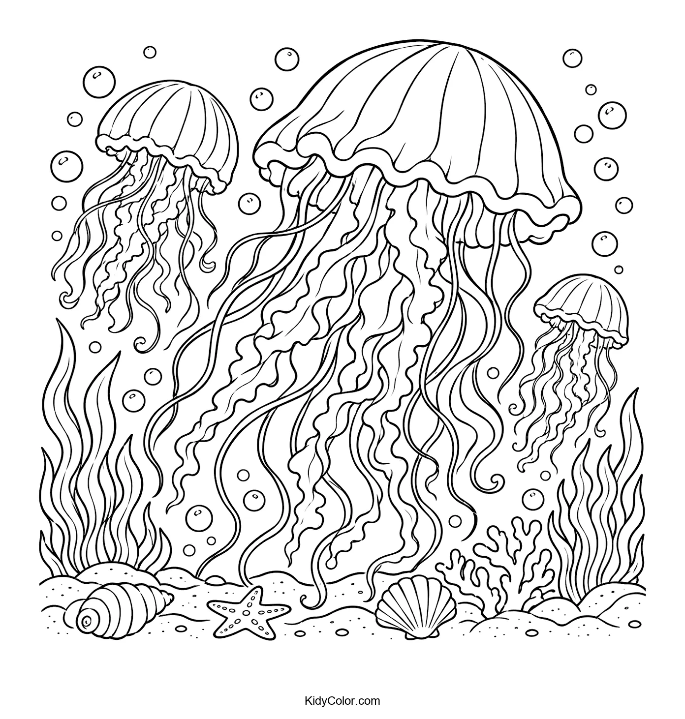 Jellyfish swimming underwater with seaweed and shells.