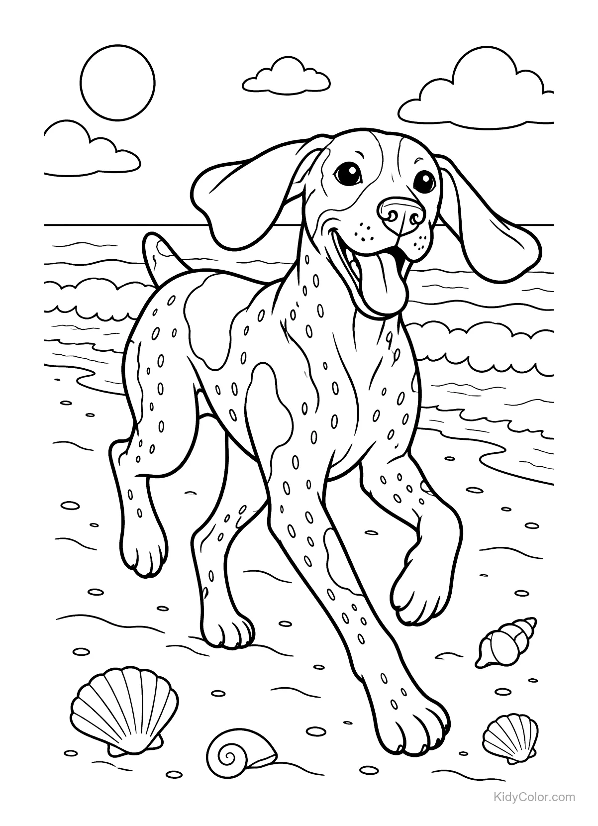 Deutscher Kurzhaar läuft am Strand mit Wellen und Muscheln.