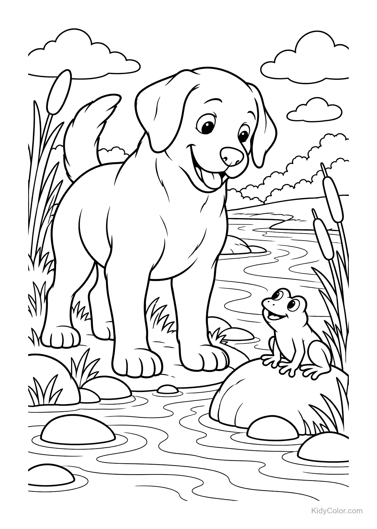 Labrador and frog at a riverside with rocks and plants.