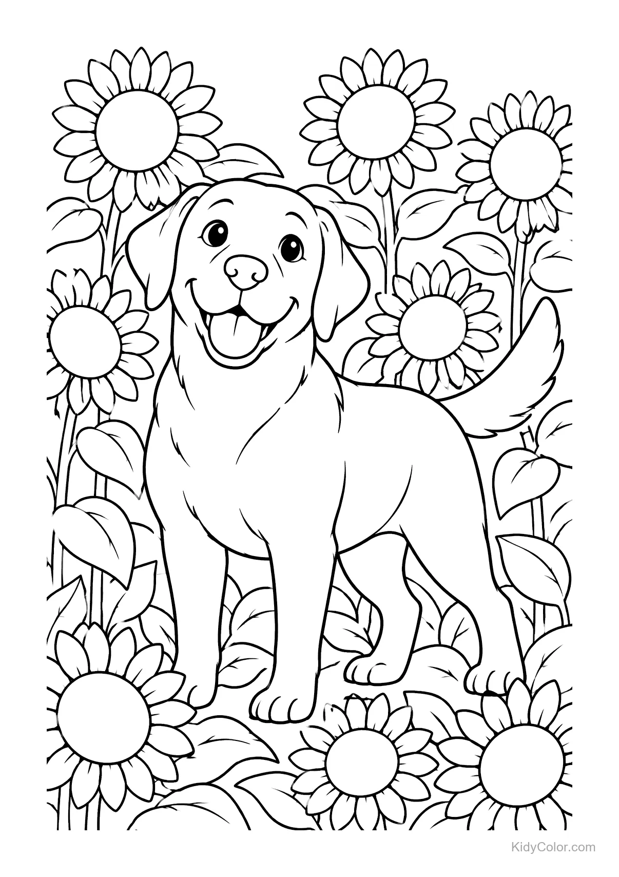 Labrador steht in einem Feld voller Sonnenblumen und lächelt.