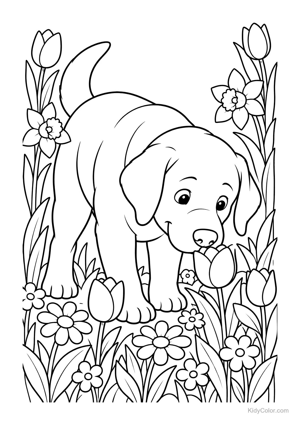 A Labrador puppy sniffing flowers, surrounded by tulips and daisies.