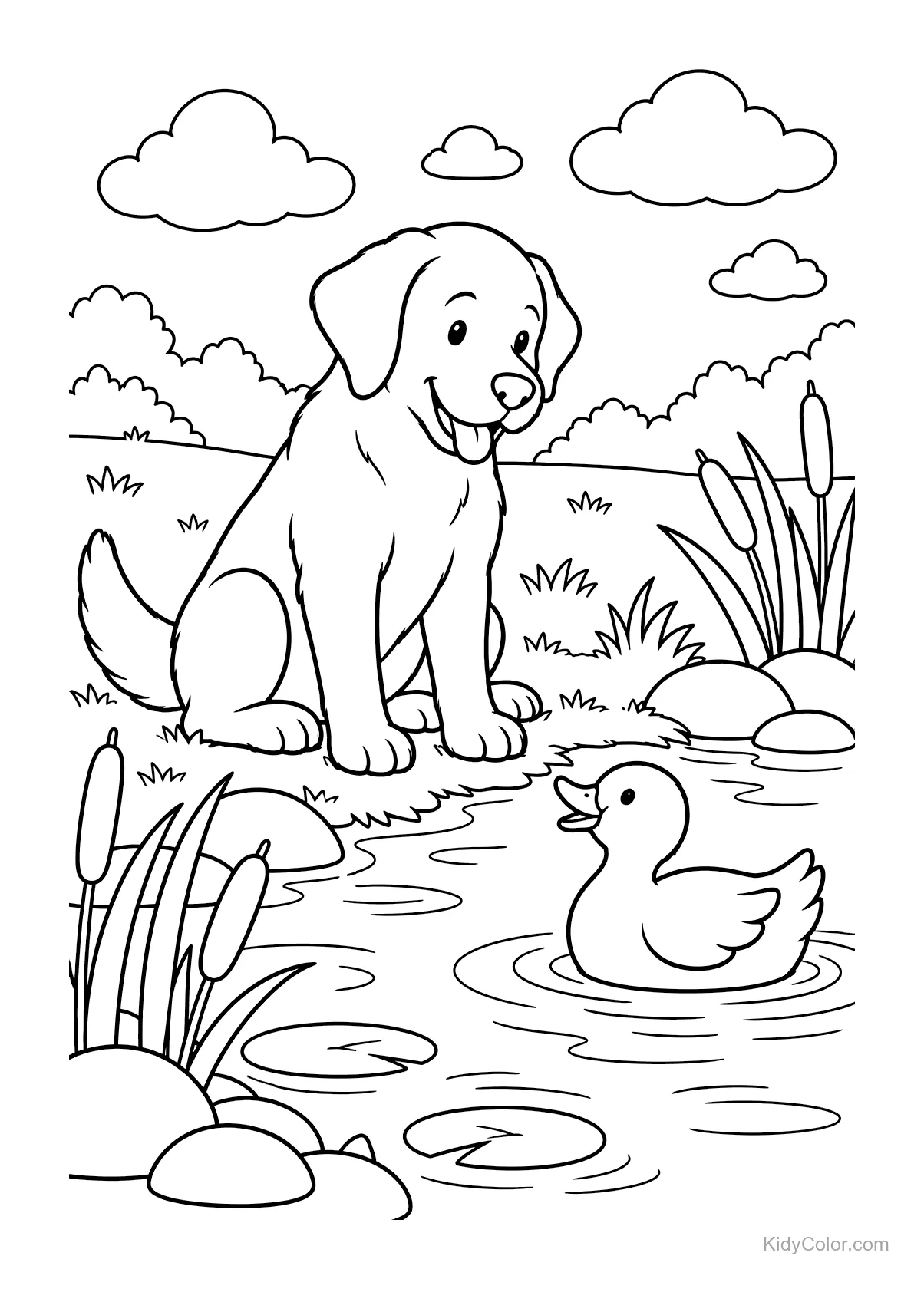 Labrador sitzt am Teich, Ente schwimmt.