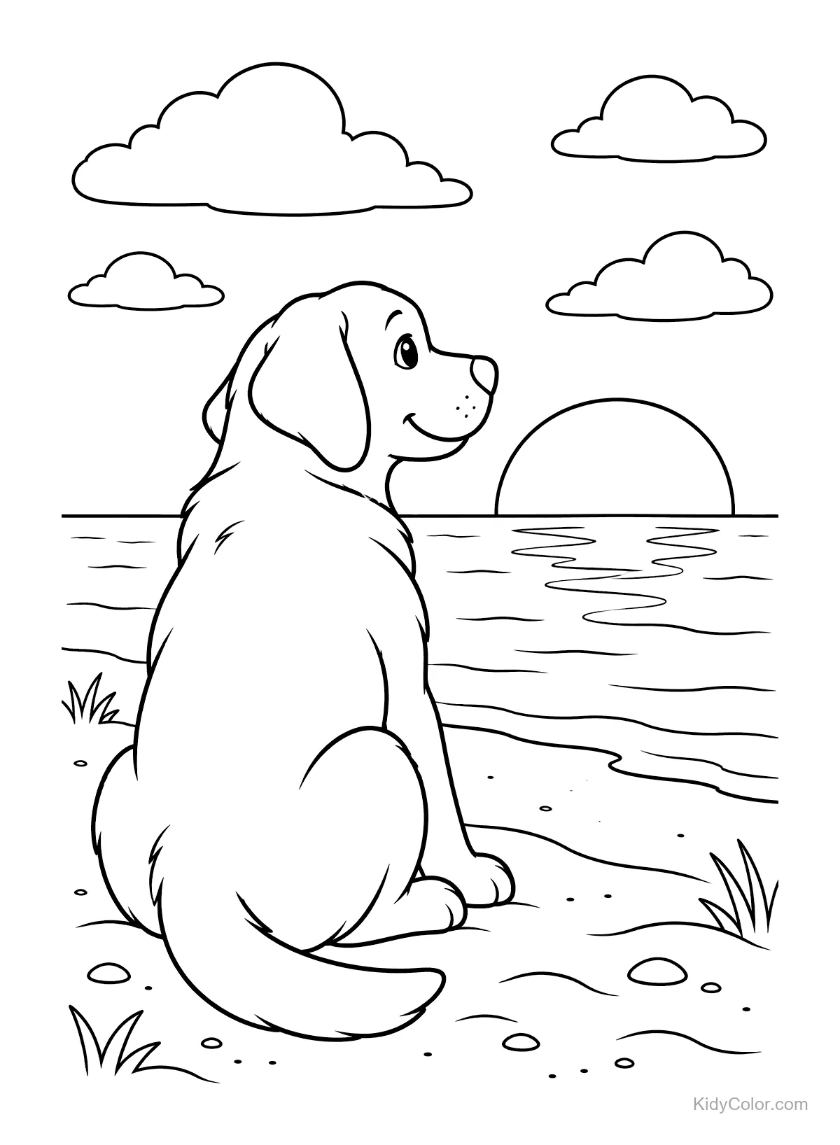 Labrador facing the ocean, watching a sunset.