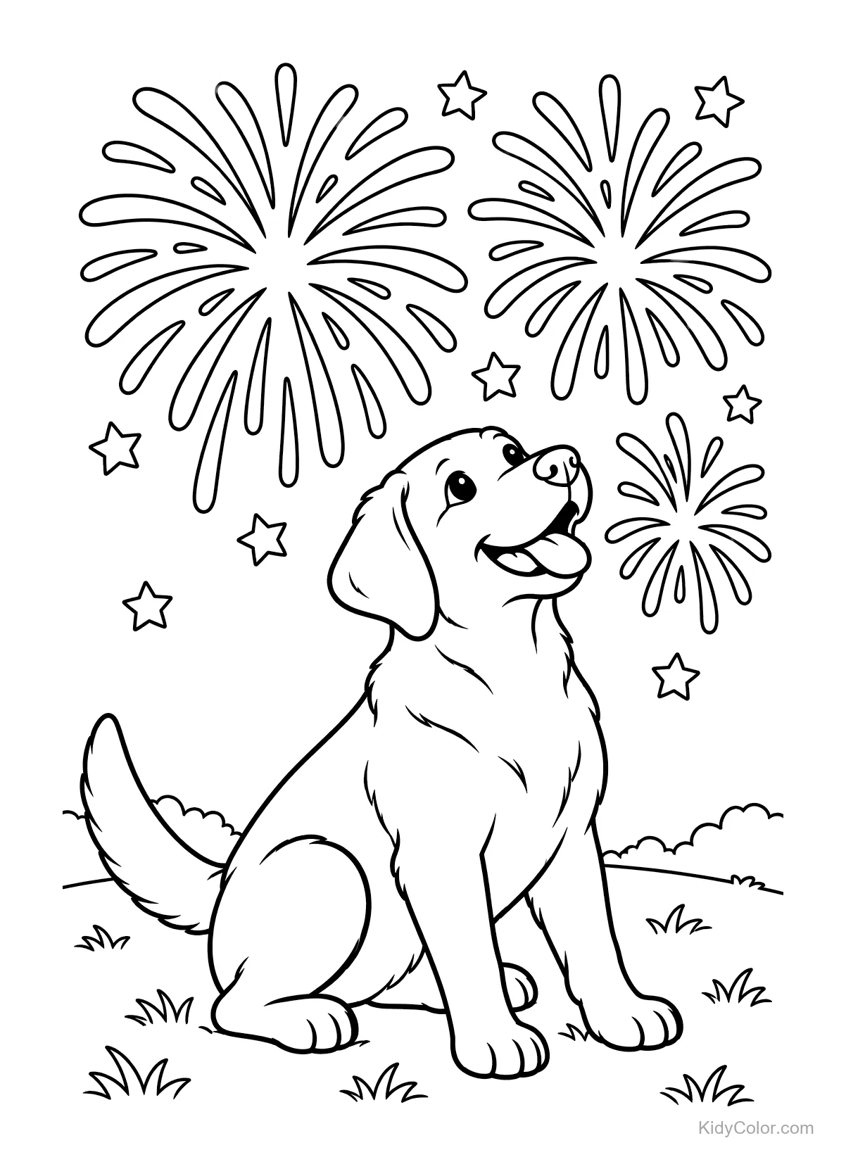 Labrador sitzt im Gras und schaut Feuerwerk mit Sternen.