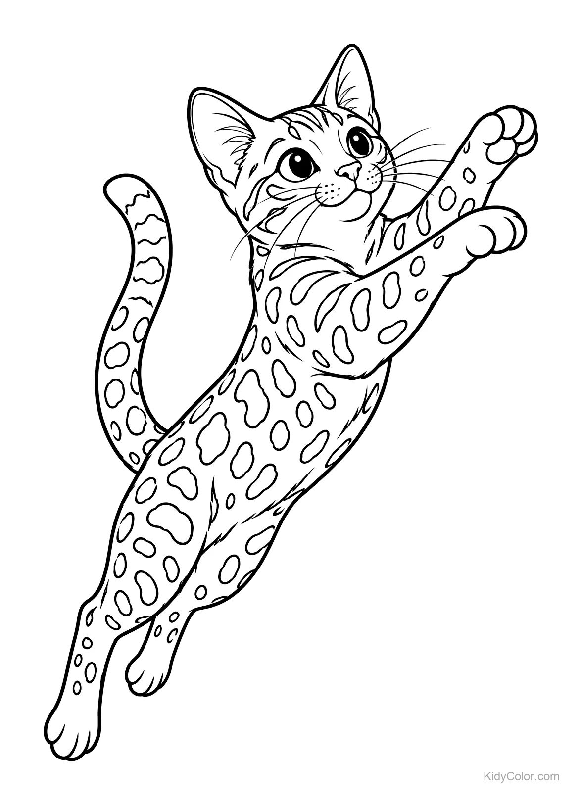 Springende Bengal-Katze mit geflecktem Fell und erhobenen Pfoten.