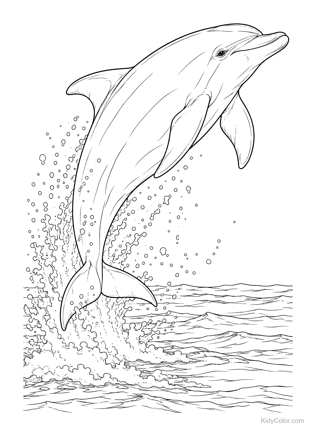 A bottlenose dolphin leaping out of the water with a splash.
