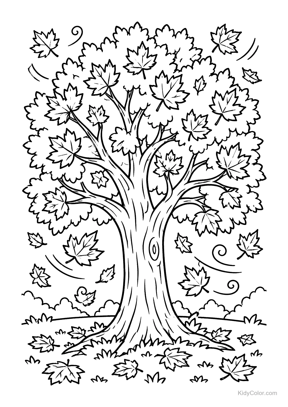 Maple tree shedding leaves in autumn breeze.
