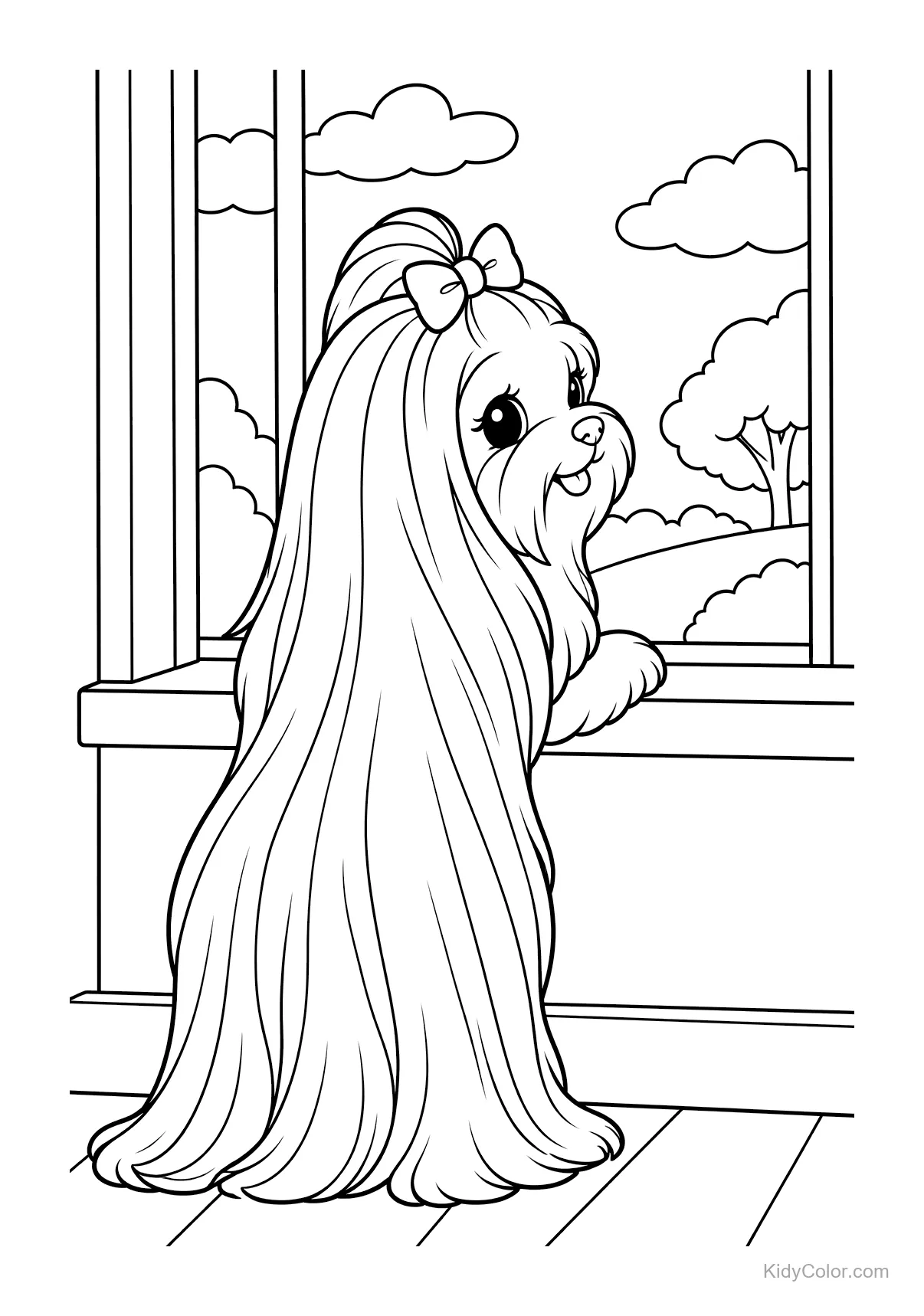 Maltese dog with long fur sitting by a window.