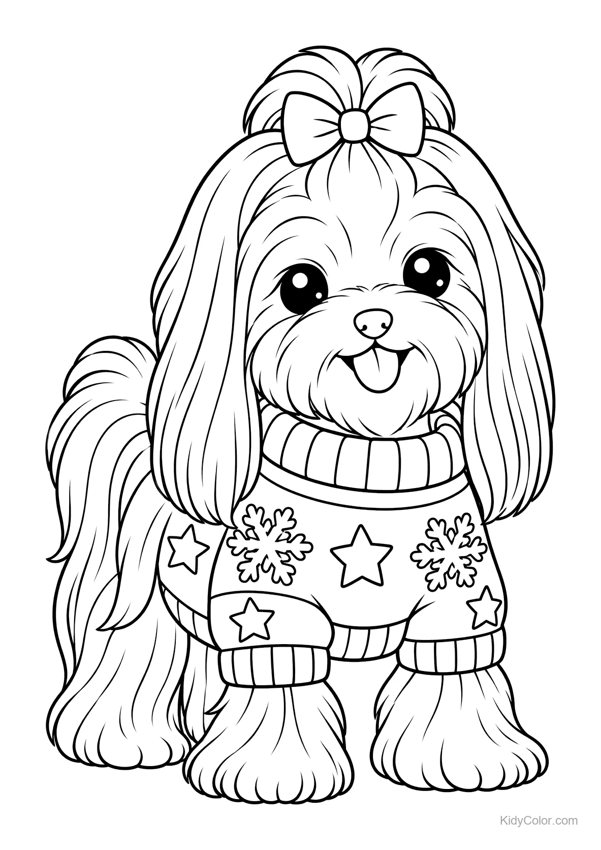 Maltesehond met een trui met sterren en sneeuwvlokken.