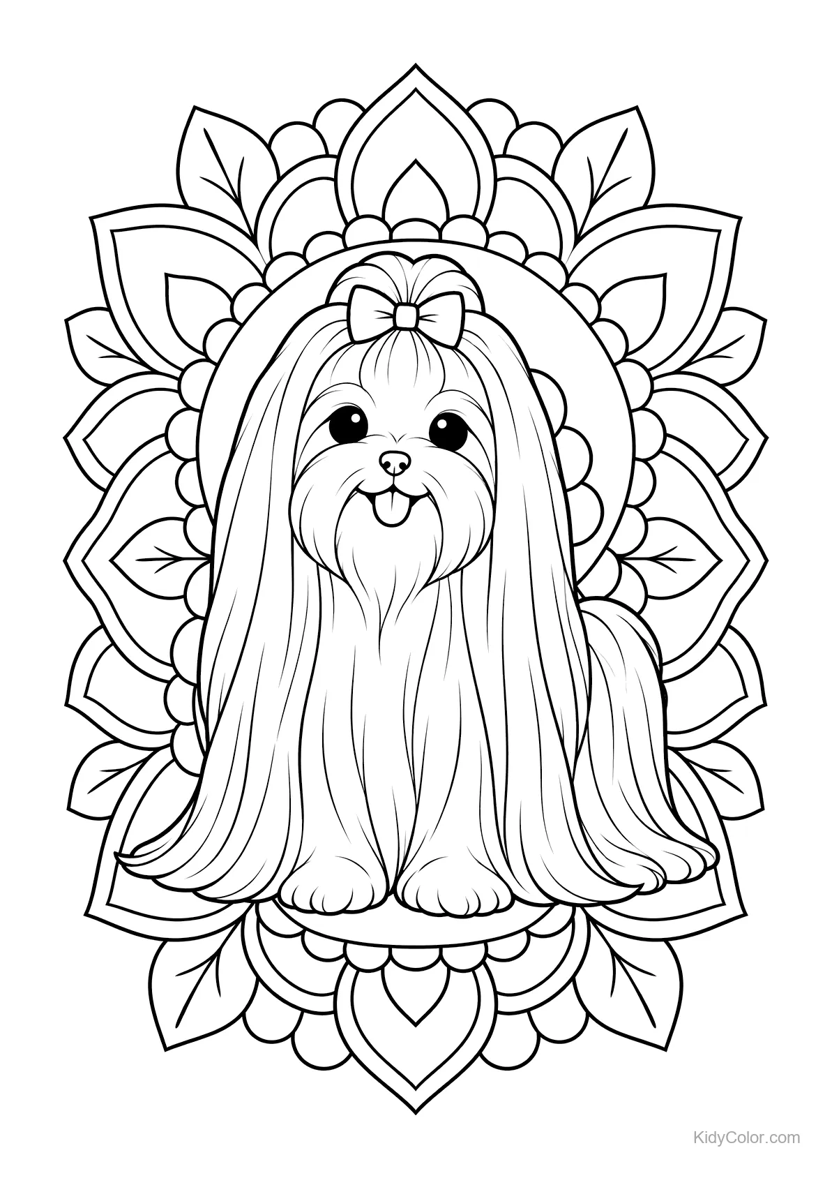 Chien Maltese assis devant un motif de mandala.