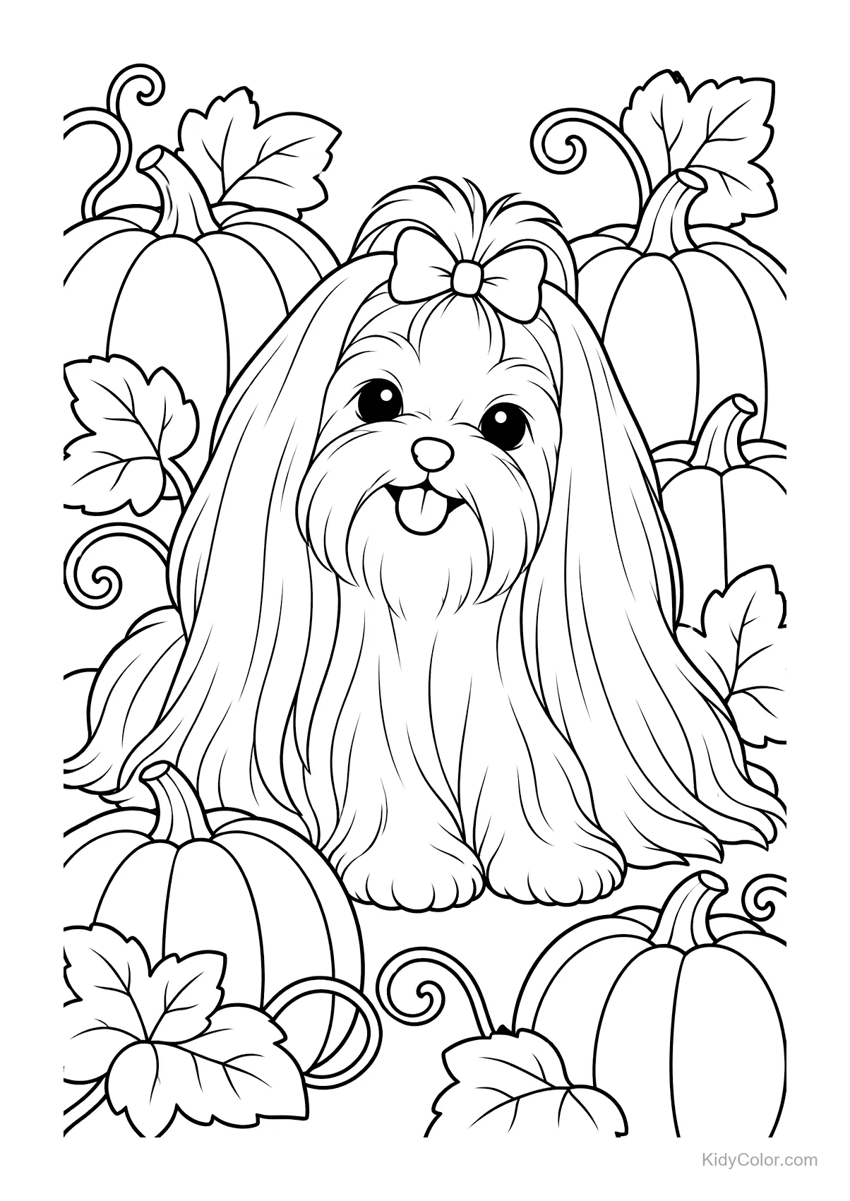 Maltese dog sitting among pumpkins with leaves.