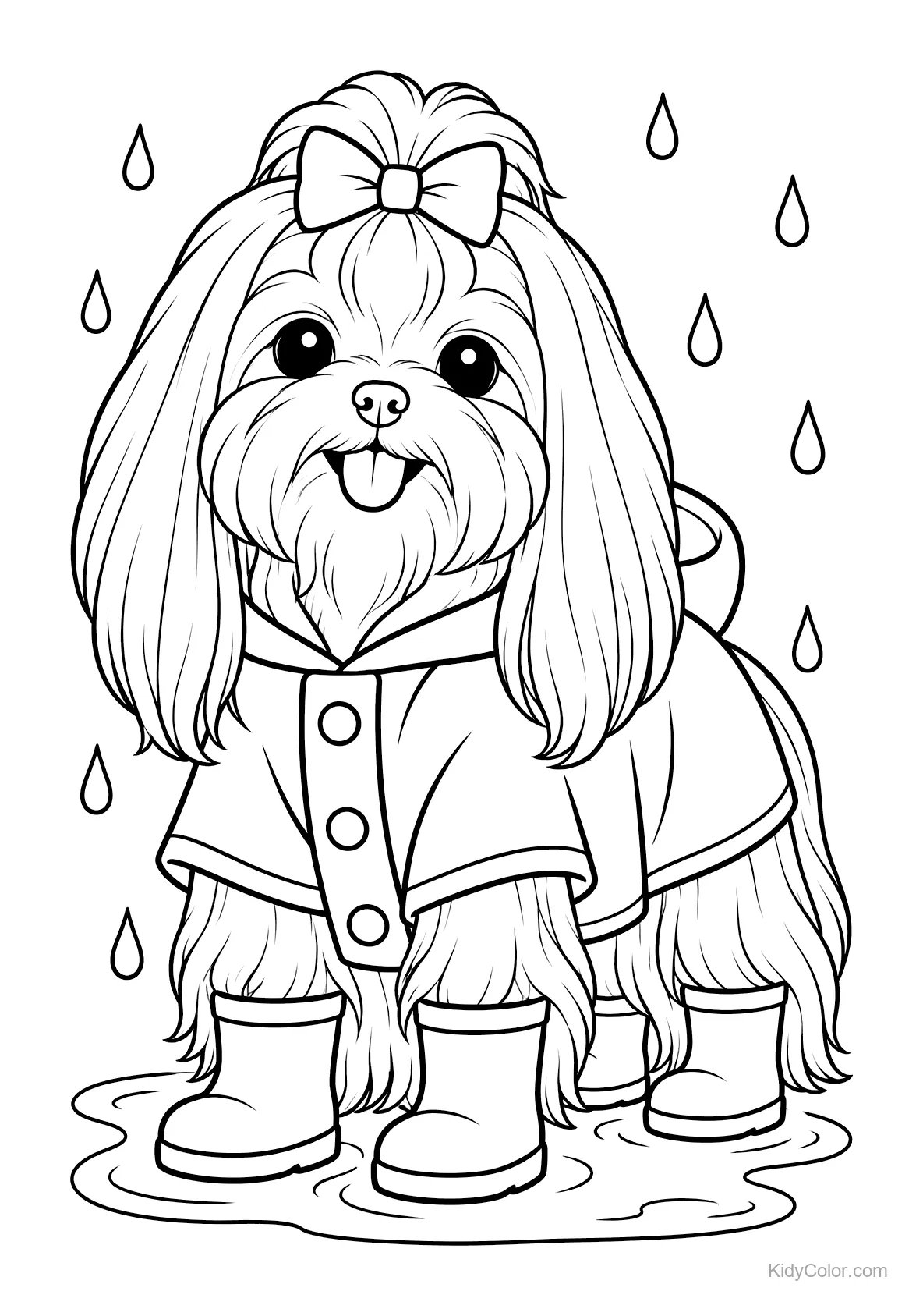 Maltese puppy in a raincoat and boots with raindrops falling.