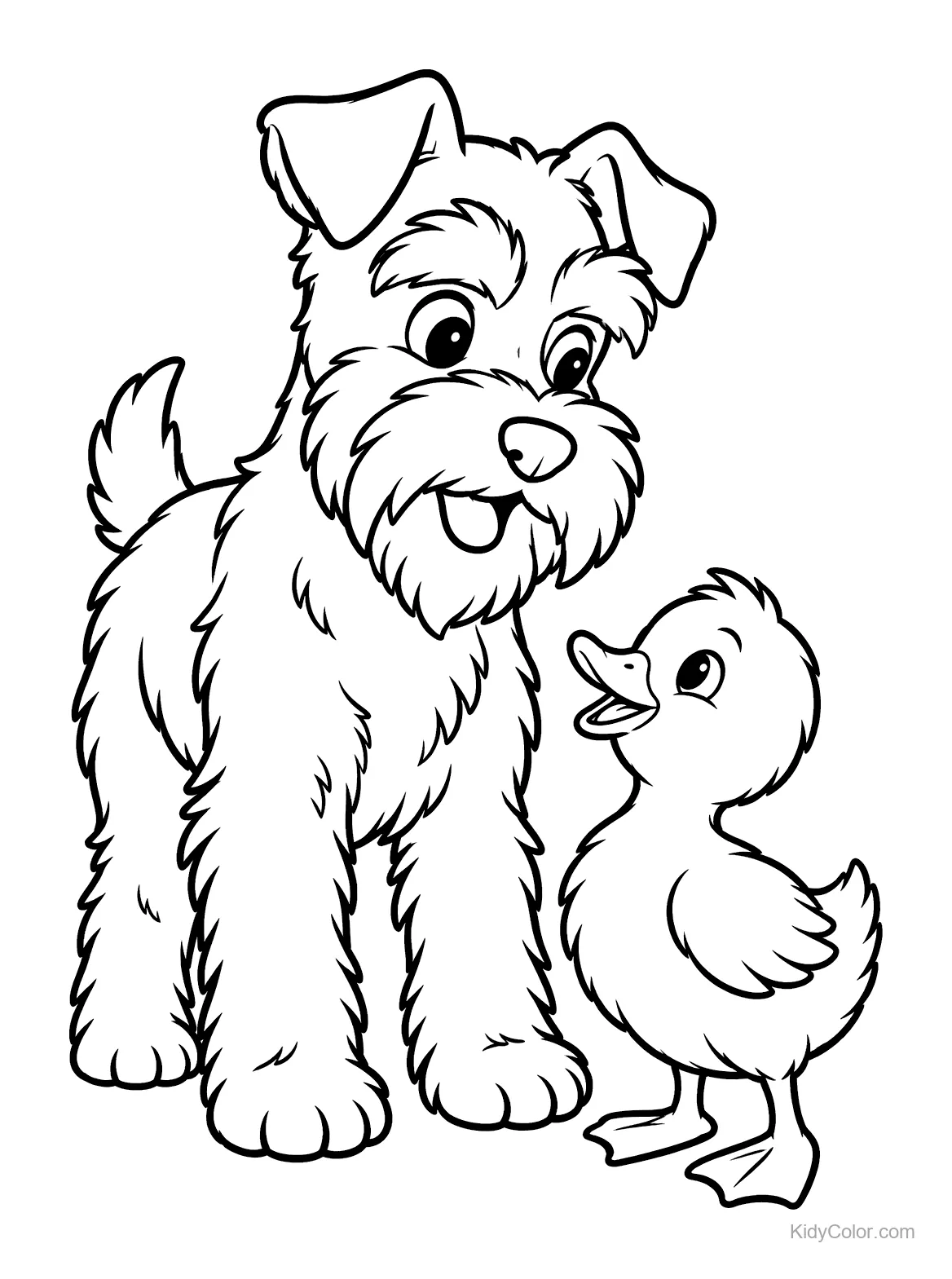 Zwergschnauzer schaut ein Entenküken an, beide stehen.