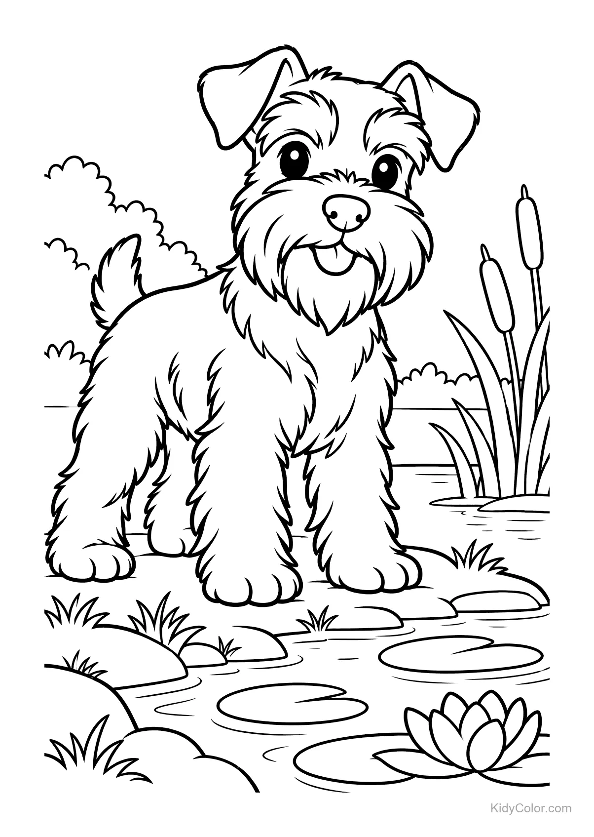 Miniatuur schnauzer bij een vijver met waterlelies en riet.