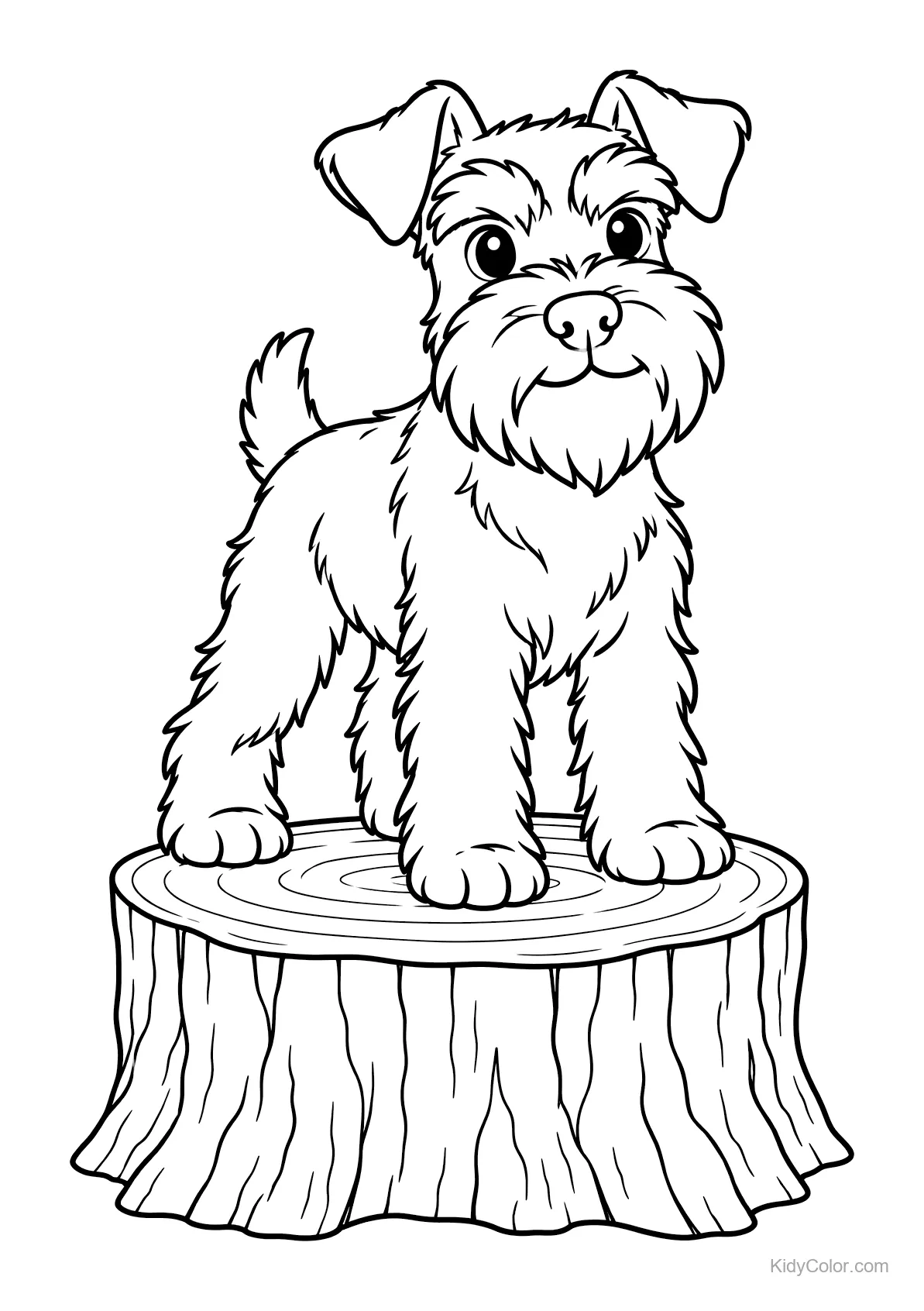 Zwergschnauzer steht auf einem Baumstumpf.