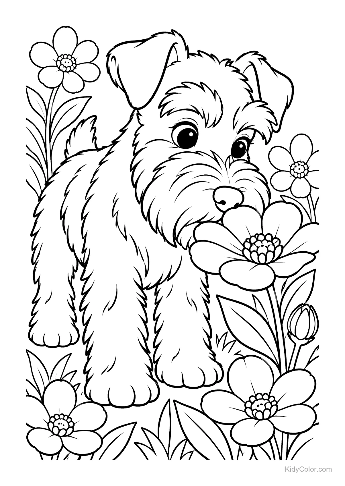 Schnauzer nano che annusa un fiore circondato da altri fiori.