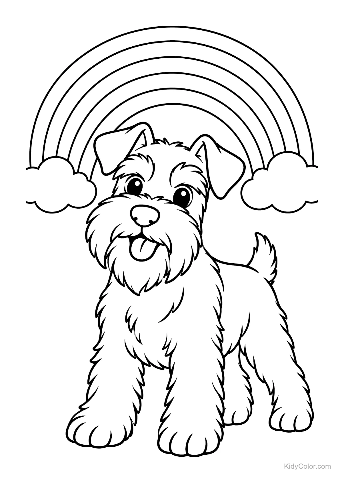 Miniature Schnauzer standing under a rainbow with clouds.